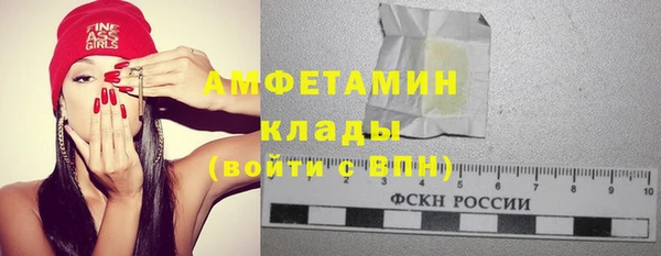 прущие грибы Лабытнанги