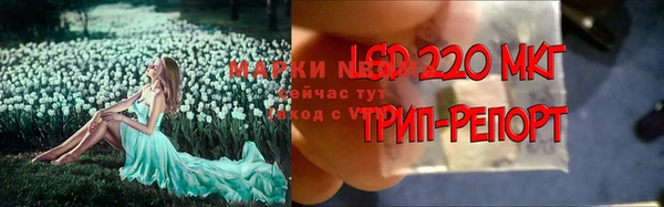 ECSTASY Нижний Тагил