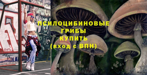 прущие грибы Лабытнанги