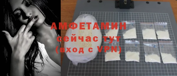 прущие грибы Лабытнанги
