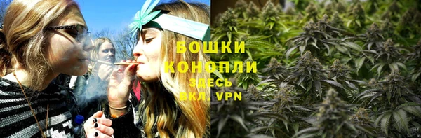 прущие грибы Лабытнанги