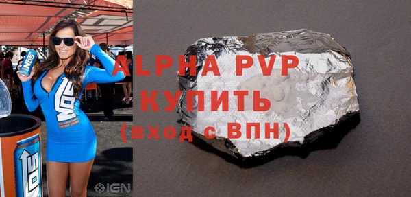 прущие грибы Лабытнанги