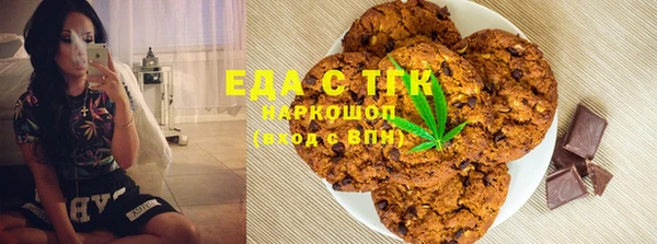 прущие грибы Лабытнанги