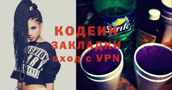 прущие грибы Лабытнанги