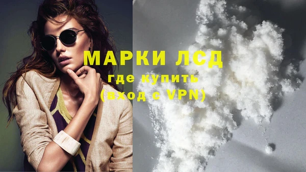 прущие грибы Лабытнанги