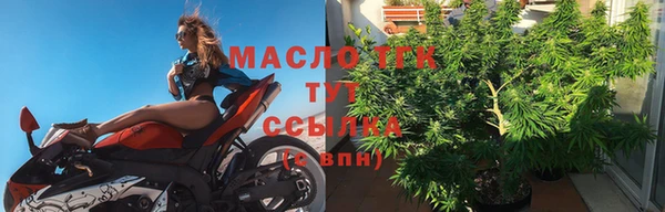 прущие грибы Лабытнанги
