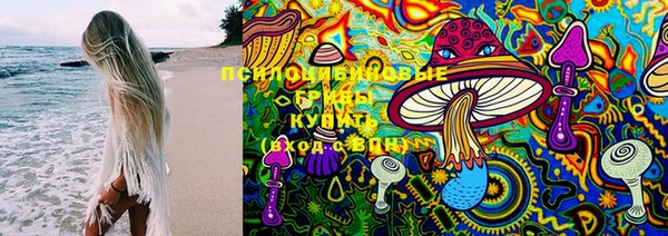 прущие грибы Лабытнанги