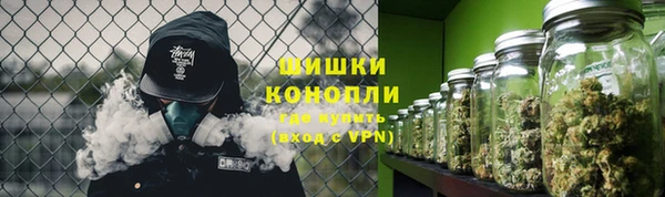 прущие грибы Лабытнанги