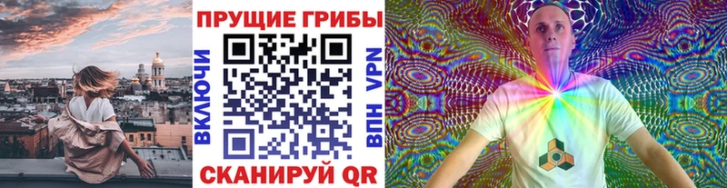 Галлюциногенные грибы ЛСД  продажа наркотиков  ОМГ ОМГ вход  Ядрин 